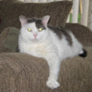 Meet your Posher, Susan